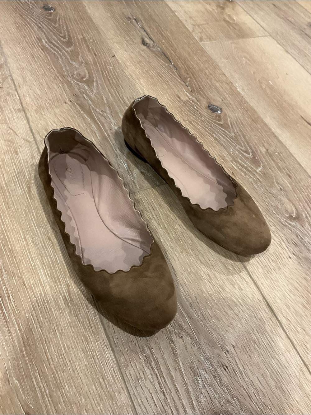 Chloe Scalloped Suede Ballet Flats - Brown